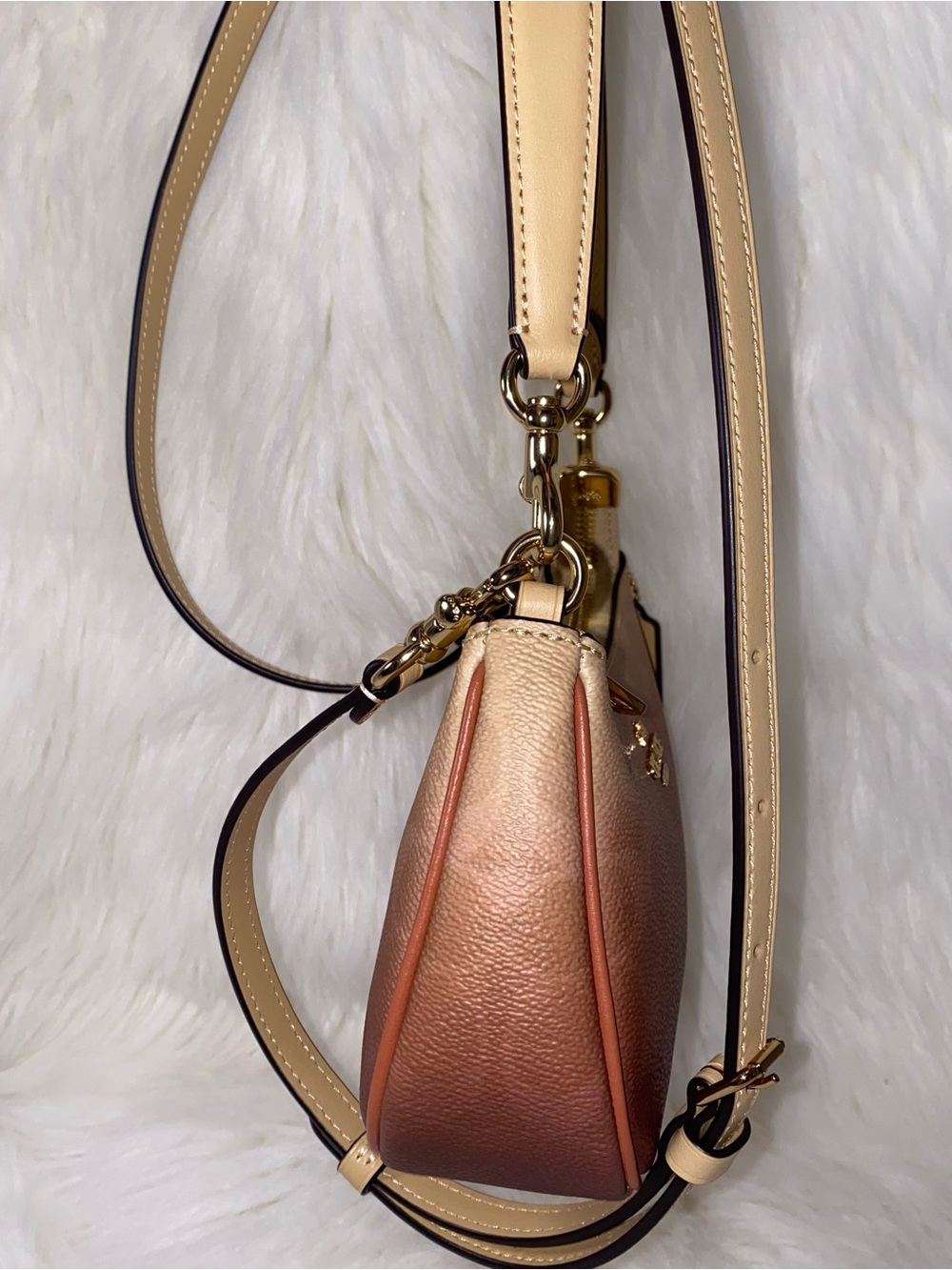 Coach purse Teri Mini Crossbody Bag In Ombre Signature Canvas New - Picture 13 of 15